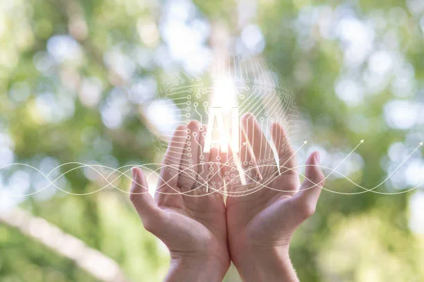 limpieza energética