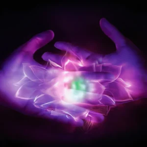 Reiki karuna